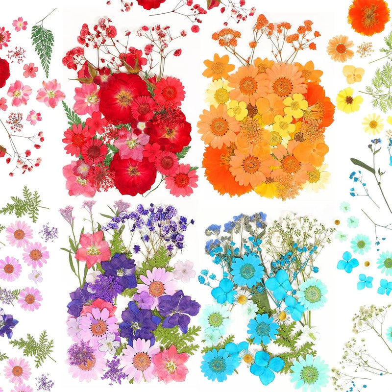 Mixed dried pressed flowers and leaves in assorted red, orange, pink, blue, purple shades