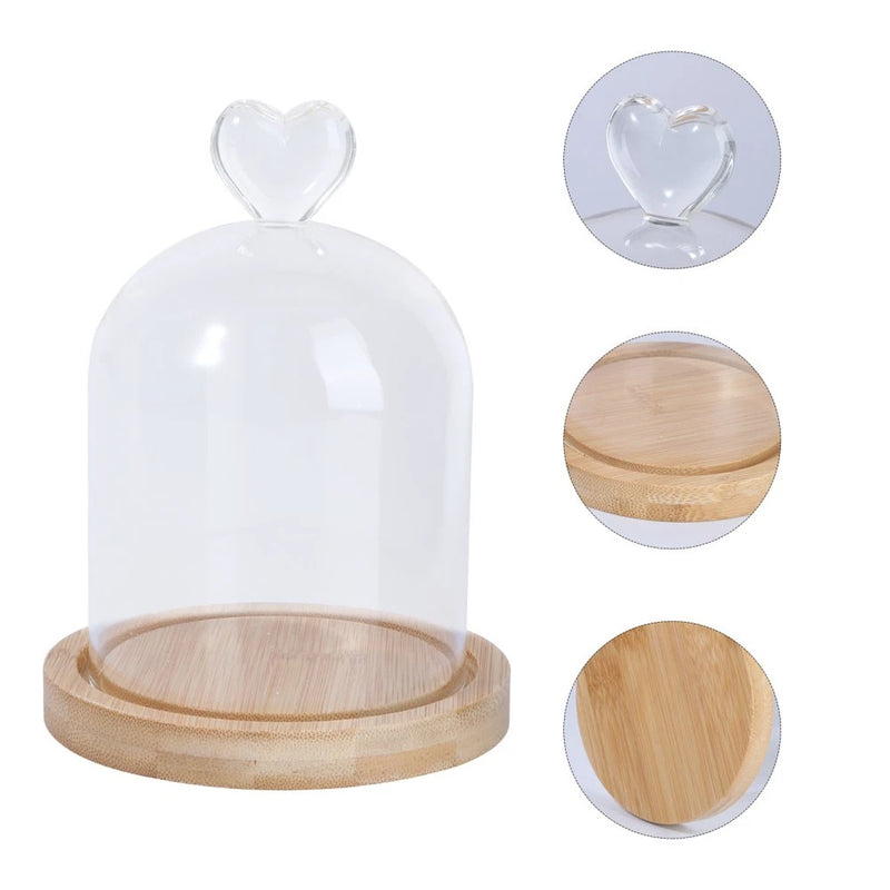 Small glass cloche dome with heart top and round wooden base for dried flowers