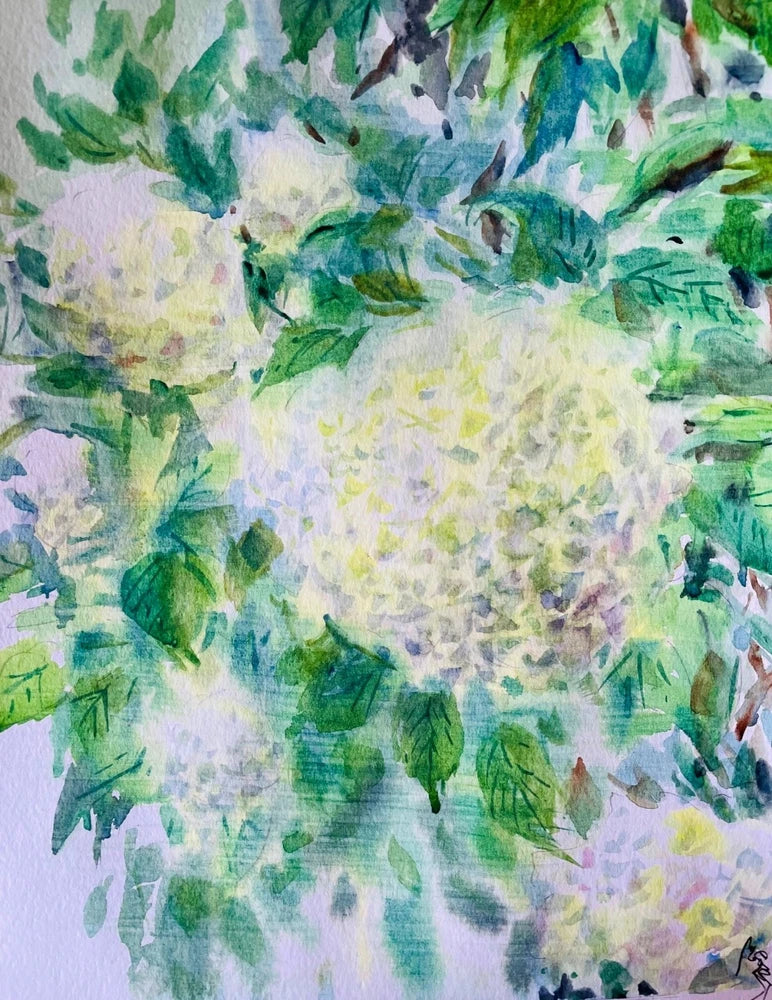 "Endless Summer" ORIGINAL watercolor hydrangea floral garden bloom plant Hydrangea