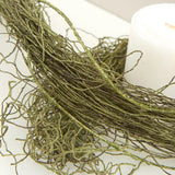 Set of 2 Factory Direct Craft Natural Look Faux Twig Garlands - 6ft long, each Green Plant