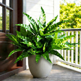 4Pcs Fake Ferns,Faux Outdoor Plants UV Resistant,3D Real Touch Fake Plants To... Green Plant