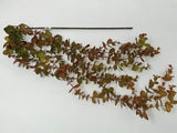 Qty (1) 44Ó Hanging Fake Red-Green EUCALYPTUS Plant, Home Decor Only Green Plant