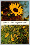 Kansas The Sunflower State Flower  Vintage Unposted Postcard Sunflower