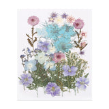46 Pcs Dried Pressed Flower Leaves Bulk for Resin, Blue Pink Dried Flower