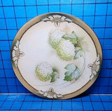 1920-44 Blue Mark RS Germany Porcelain Plate Hand Painted White/Green Hydrangeas Hydrangea