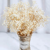 2500+ Dried Babys Breath Flowers Bulk - 17" Ivory White Dried Flower Bouquet, Re Dried Flower