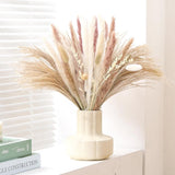 Natural Dried Pampas Grass Bouquet Home Decor Phragmites Dried Flowers (86PCS) Pampas Grass