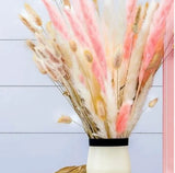 Dried Pampas Grass | Set of Soft White Pampas, Pink Pampas, and Bunny Tails Natu Pampas Grass