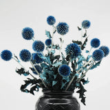 20+ Balls Dried Blue Green Thistle Flowers Bouquet - 15" Preserved Echinops G... Dried Flower