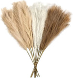 Luxury Boho Pampas Grass Tall Plant:12Piece Pampas Grass