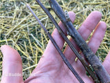 Apple cuttings/scion wood for grafting (One scion). **Must buy 3+** Flowering Plants