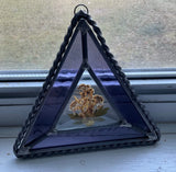 Pressed Flower Art in Floating Beveled Glass-Twisted Pewter Frame-Ornament/Decor Dried Flower