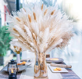 95 PCS Natural Pampas Grass Decor Bouquet Boho Dried Floral Arrangement Decor Pampas Grass