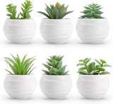 Succulent Plants Artificial in Pots Fake Greenery Set of 6 for Room Office Decor Green Plant