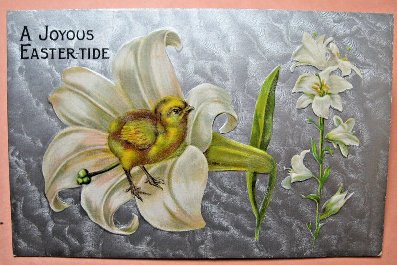 1909-era postcard featuring a chick inside white lily blossoms with green stems