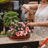 Garden Flower Pot Pots for Plants with Drainage Oval Bonsai Training Plastic Garden Plants