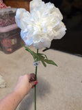 white Peony 20" Floral Decor Ashland Peony
