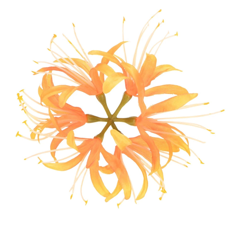 Artificial spider lily flower head, orange-yellow silky petals with long stamens