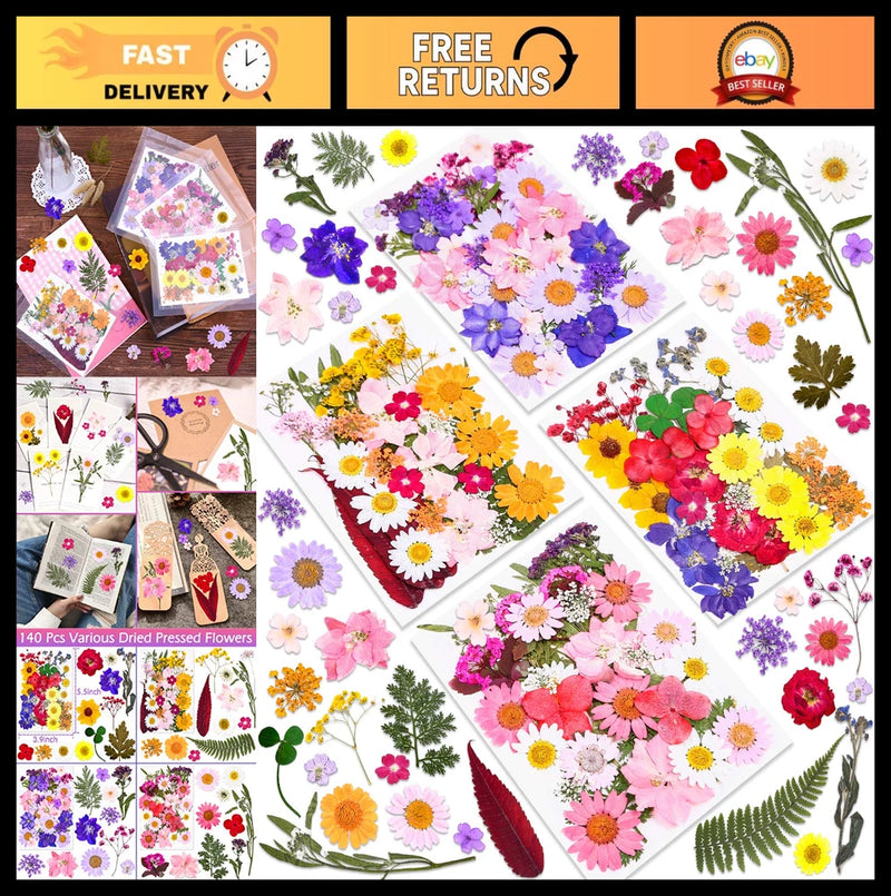 Assorted dried pressed flowers and leaves, 140-piece mix for resin and scrapbooking