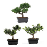 Nearly Natural 8.5" Bonsai Silk Plant Collection (Set of 3) in Green/Black Green Plant