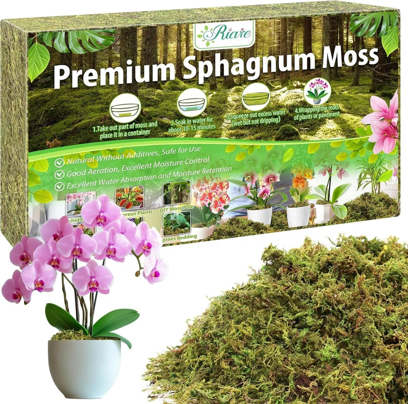 Natural premium sphagnum moss in retail box with potted orchid and moss sample