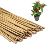 50PCS Plant Stakes,16 Inch Natural Bamboo Stakes,Garden Stakes for Indoor and Ou Garden Plants