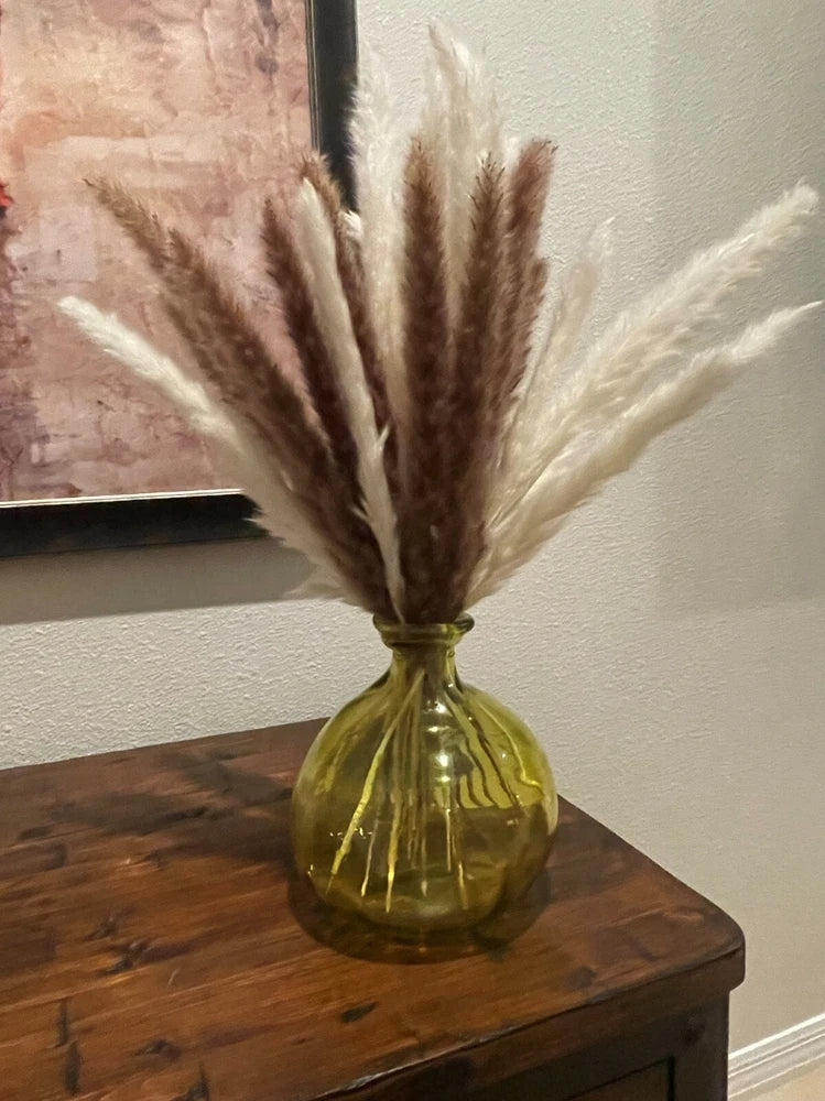 PAMPAS GRASS - 17 inch, Set of 30 StemsÊ - Neutral Colors. Pampas Grass