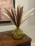 PAMPAS GRASS - 17 inch, Set of 30 StemsÊ - Neutral Colors. Pampas Grass