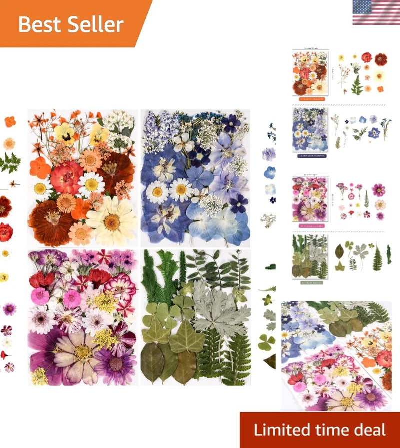 Assorted pressed dried flowers and leaves set for resin, scrapbooking, and DIY crafts