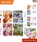 Pressed Flowers for Resin Jewelry Crafts Dried Leaves for DIY Scrapbooking Nails Dried Flower