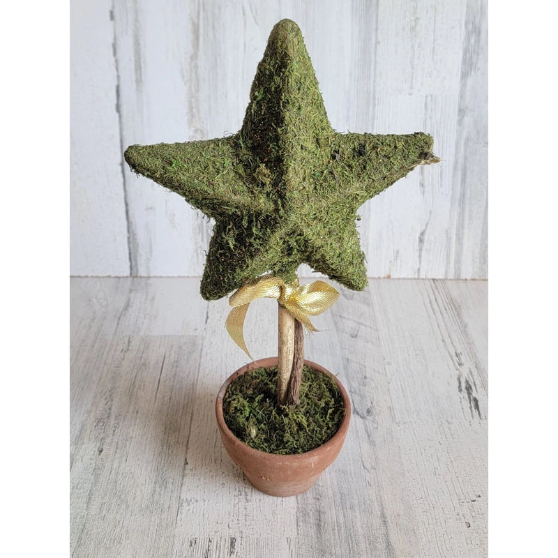 Unique star-shaped Bush plants home decor pot garden bow Green Plant