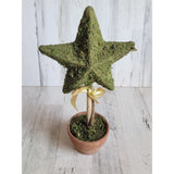 Unique star-shaped Bush plants home decor pot garden bow Green Plant