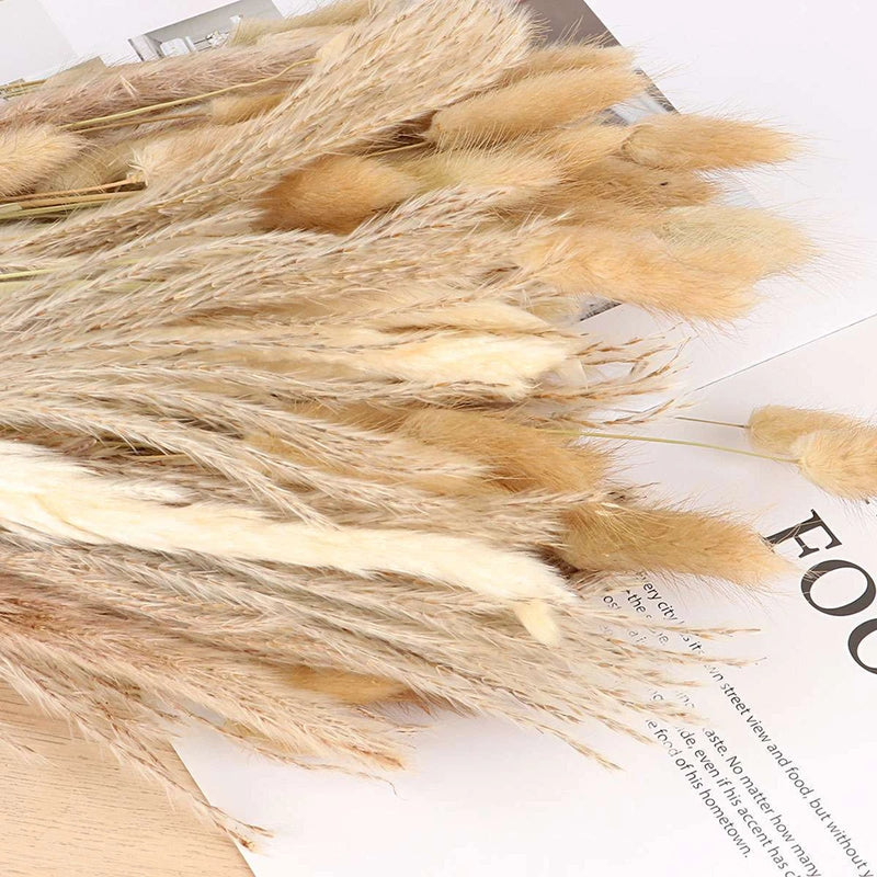 100PC Natural Dried Pampas Grass Boho Home Decor Bouquet Phragmites Dried Flower Pampas Grass