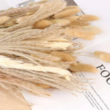 100PC Natural Dried Pampas Grass Boho Home Decor Bouquet Phragmites Dried Flower Pampas Grass