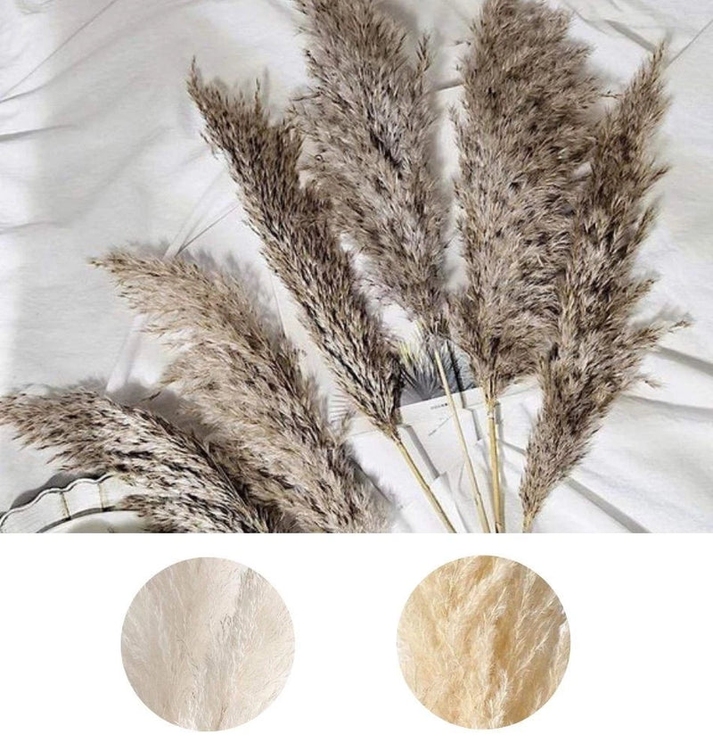 6 Sprays Stems 32" Natural Pampas Grass Dried Plant Party Events Decorations Pampas Grass