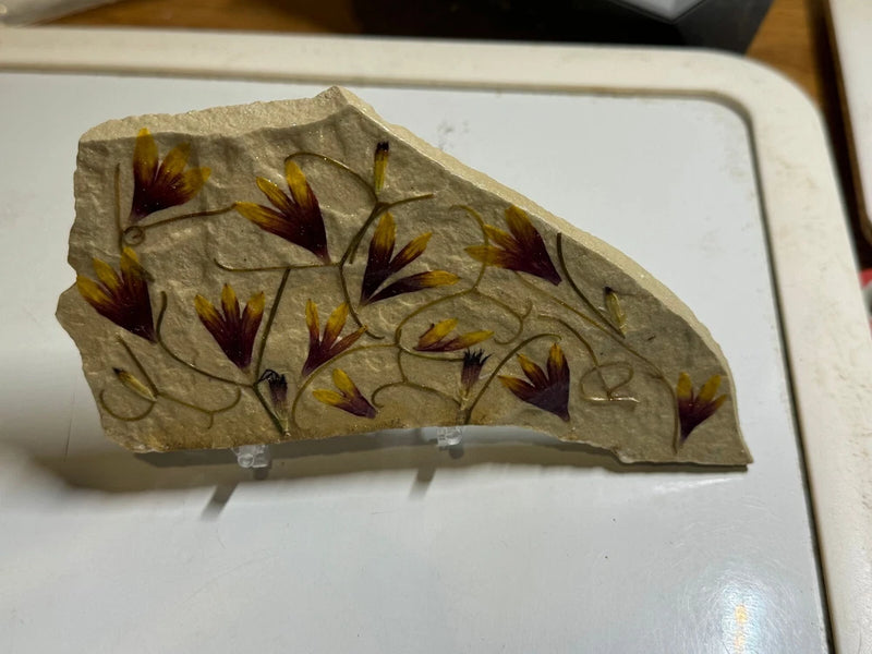 Pressed flower stone display with burgundy and yellow pressed blooms on a curved rock