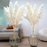 10pc 46" White Pampas Grass Tall Decor - Floral Pompas for Vases & Home Pampas Grass