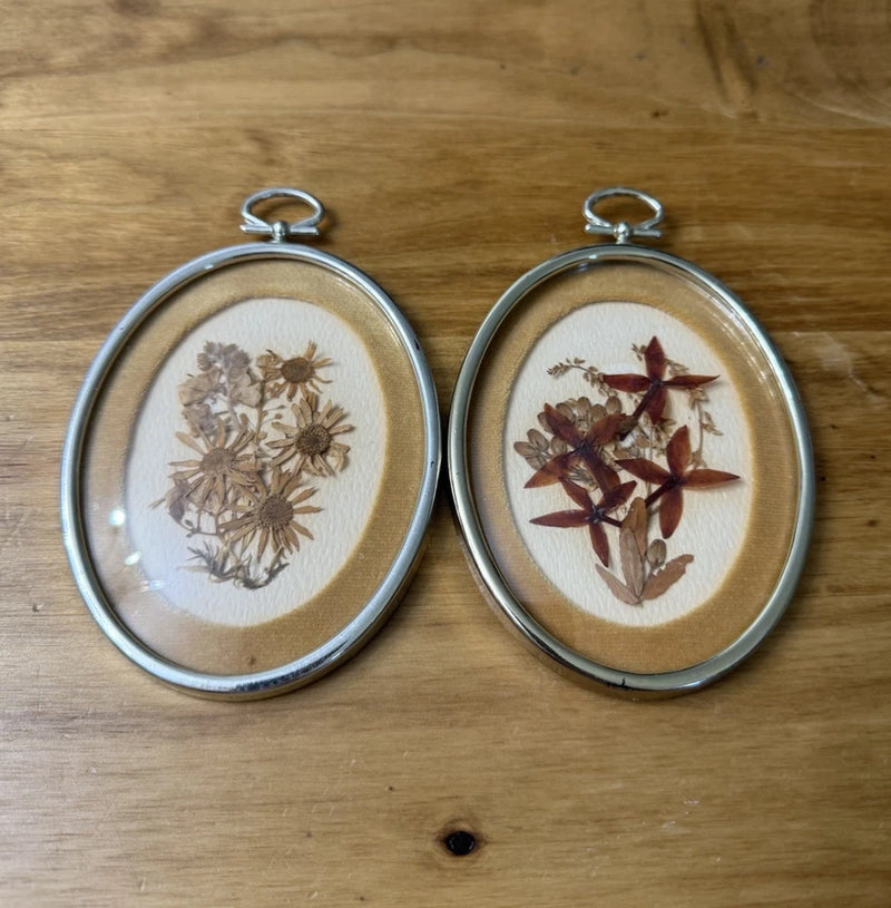 Oval metal-framed pressed flower wall art, two dried flower specimens