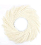 FOERPL Pampas Grass Wreaths, Beige Faux Pampas Wreaths 22" Boho Pampas Grass