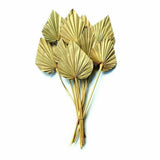 Natural Dried Flower Palm Leaf Branch Simulation Plant Bouquet, Home beautiful Dried Flower