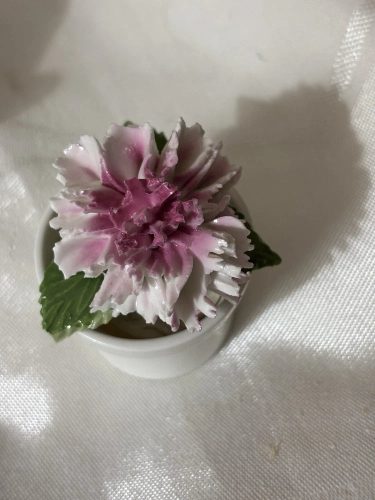 Radner Bone China Pink Carnation Carnation