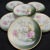 Vintage Hydrangea Plates Thomas Severes Bavaria Lot 6 Green Pink Cottage Floral Hydrangea