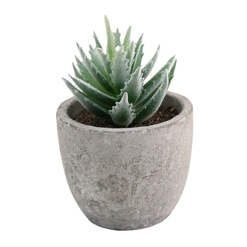 Simulation Succulent Plant with Variegated Leaves for Garden Decoration Green Plant