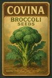 Stangar Covina Broccoli Seeds Garden Plants
