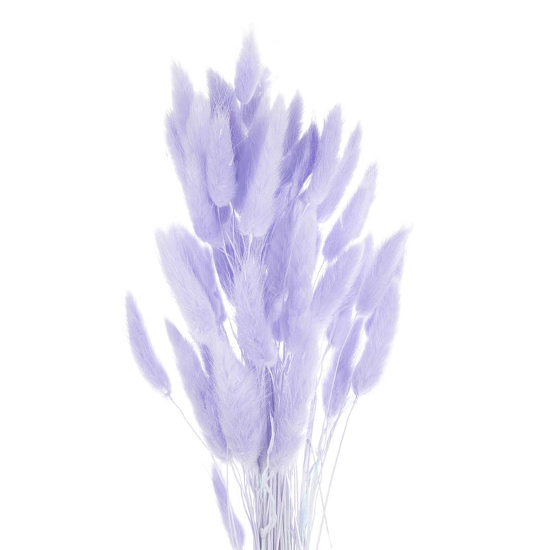 60pcs Natural Bunny Tails Dried Flowers 16" Mini Pampas Grass, Purple Pampas Grass