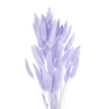 60pcs Natural Bunny Tails Dried Flowers 16" Mini Pampas Grass, Purple Pampas Grass