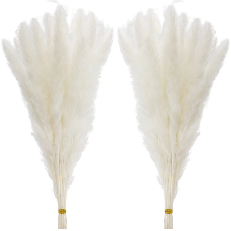 60 PCS White Pampas Grass 17 Inch 45cm Natural Dried Branches Flower Decor Pampas Grass