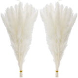 60 PCS White Pampas Grass 17 Inch 45cm Natural Dried Branches Flower Decor Pampas Grass