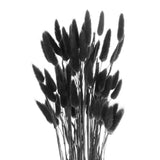 50pcs Natural Bunny Tail Dried Flowers 18" Mini Pampas Grass, Black Dried Flower