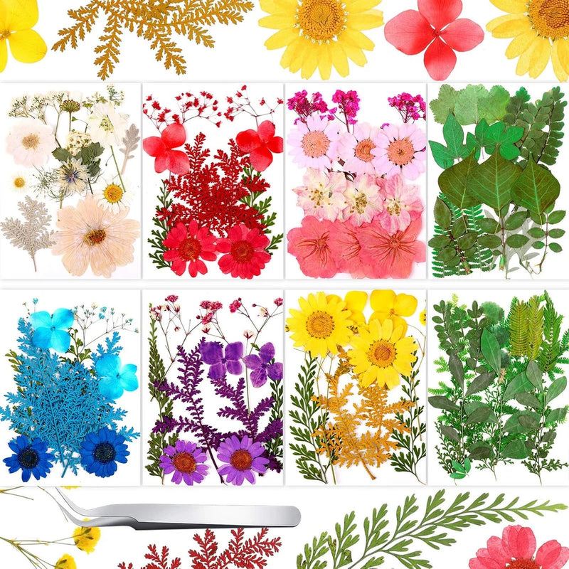 Mixed dried pressed flowers and leaves set, multicolor blooms for resin and crafts